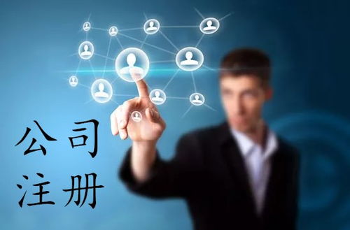 上海軟件公司注冊全攻略 流程、費用與網絡技術服務指南